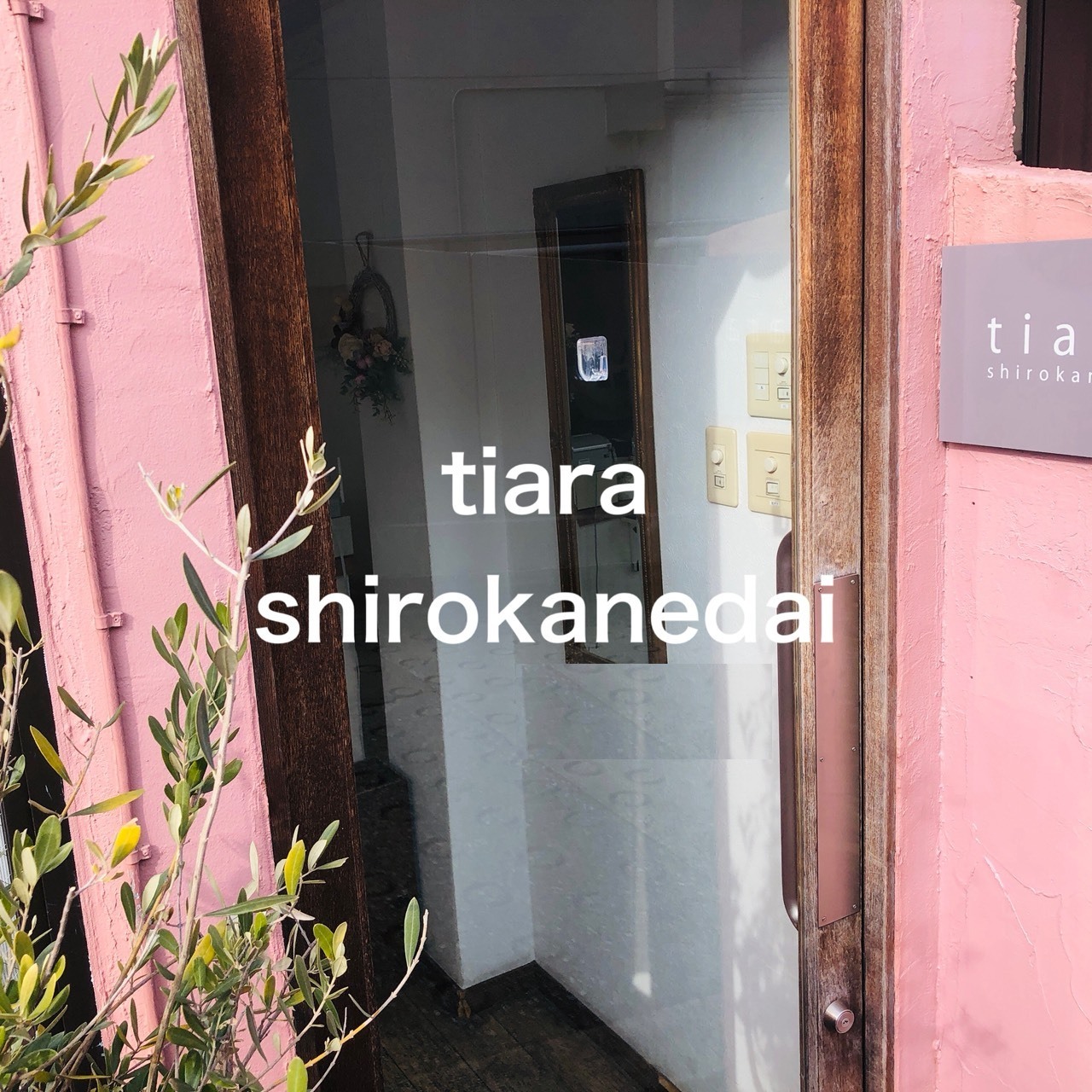tiara shirokanedai 店舗エントランス
